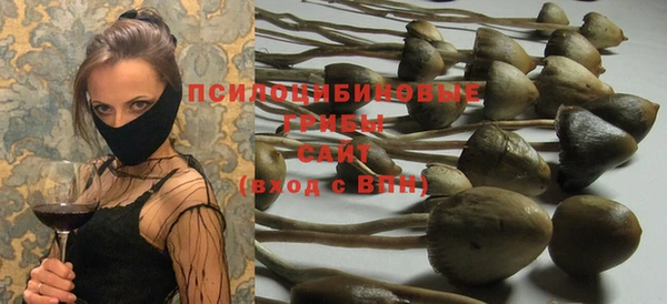 тгк Бугульма