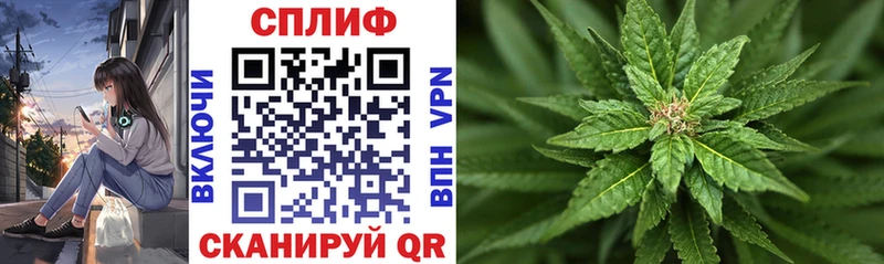 KRAKEN ссылка  Новохопёрск  Шишки марихуана план 